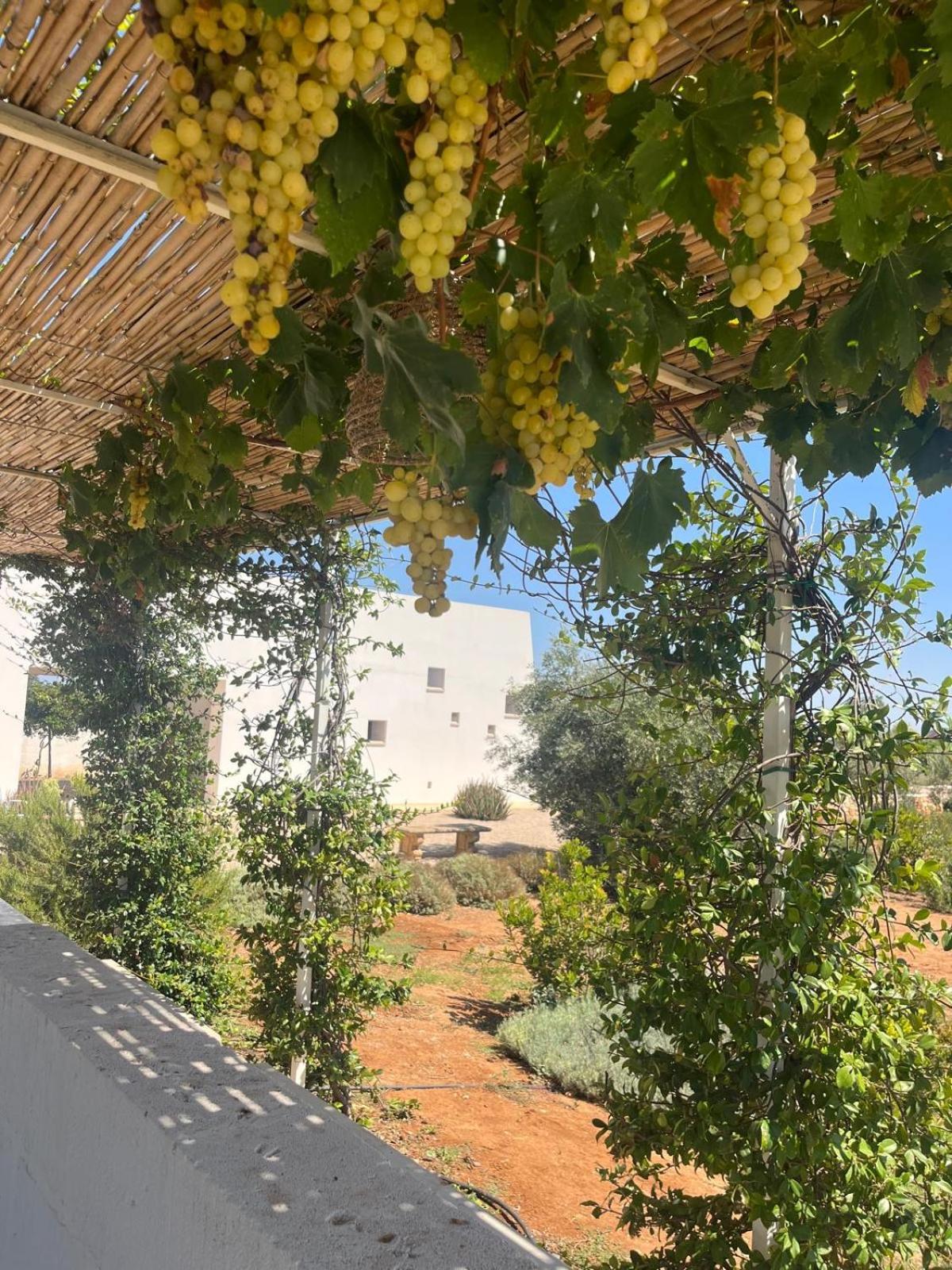 Villa Casa Bianca Di Porto Selvaggio Santa Caterina  Zewnętrze zdjęcie